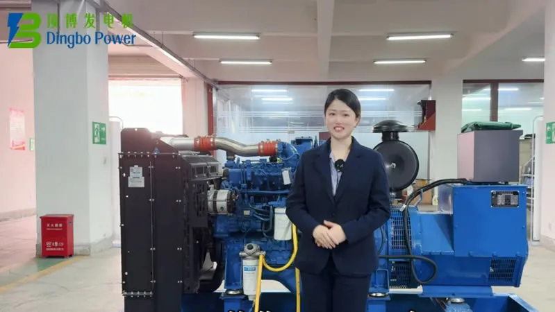 How to Add Fuel, Oil, and Coolant to Diesel Generator