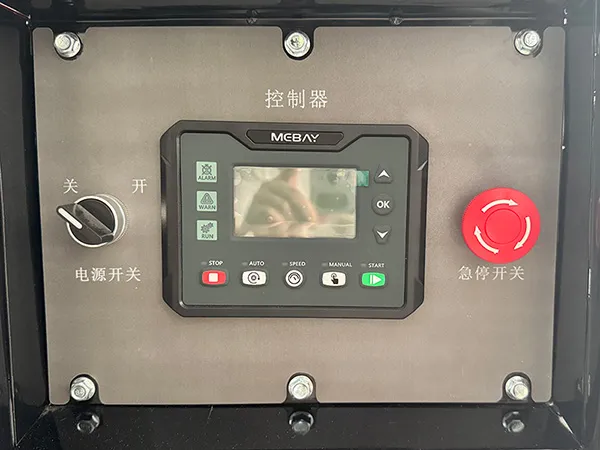 4 inch/8 inch Gasoline Water Pump