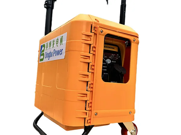 700W Lighting Gasoline Generator (Backpack Type)