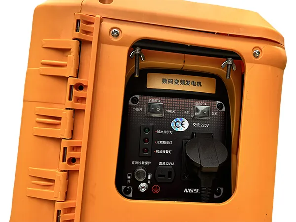700W Lighting Gasoline Generator (Backpack Type)