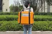 700W Lighting Gasoline Generator (Backpack Type)