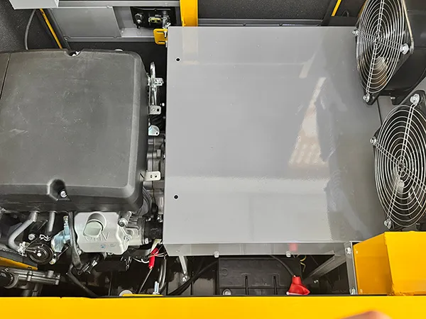 Dual Fuel Generators (Gasoline & Natural Gas)